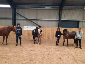 Image of 3 horses and their riders